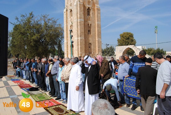 istesqa2 ramla 0201 (25).JPG